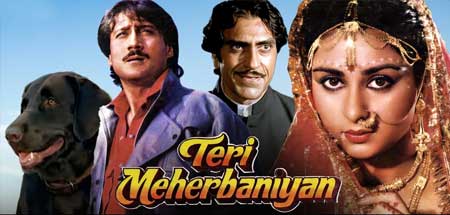 TERI MEHERBANIYAN
