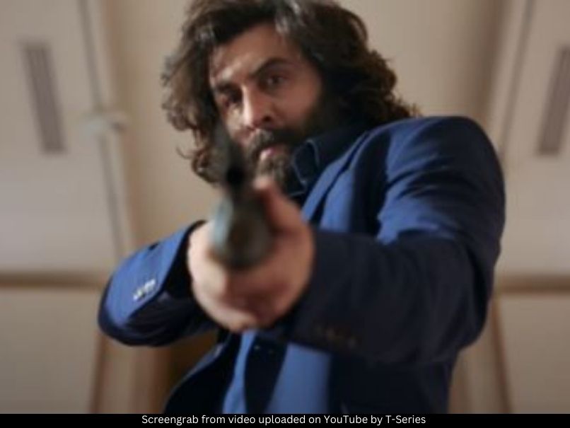 Animal Ranbir Kapoor 