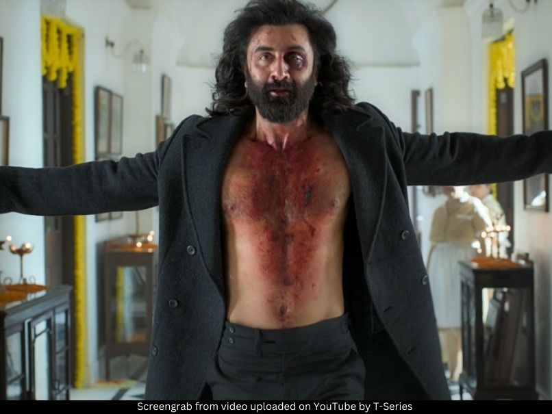 Ranbir Kapoor Animal 