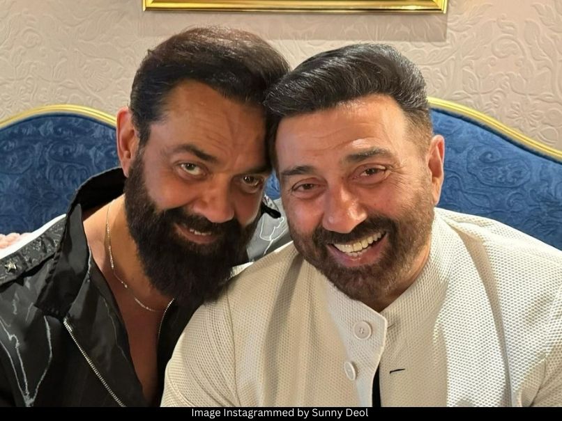 Bobby Deol and Sunny Deol 