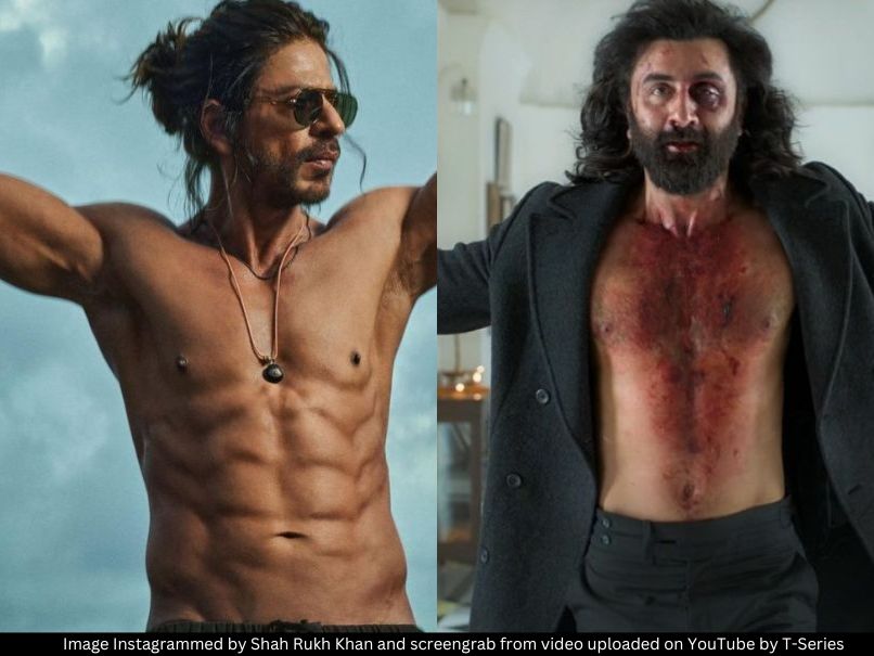 Pathaan and Animal 