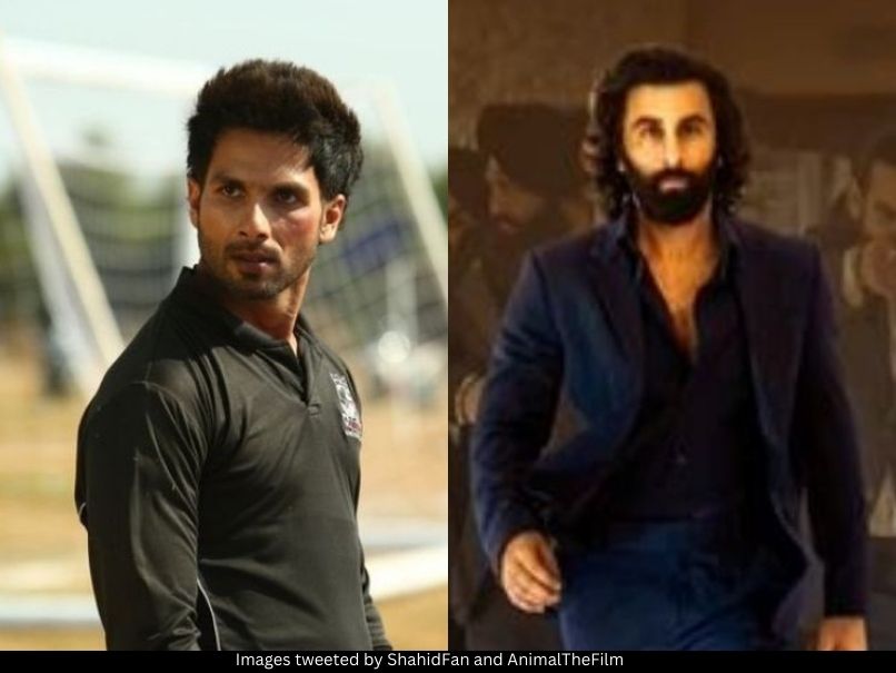 Shahid Kapoor and Ranbir Kapoor 