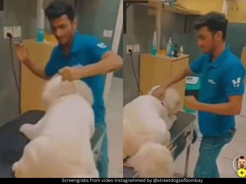 Varun Dhawan Animal cruelty video 