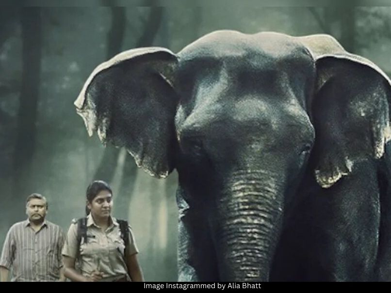 Poacher trailer out now 