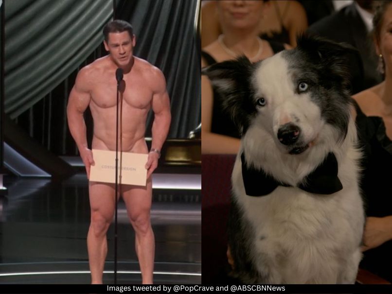 John Cena and Messi dog 