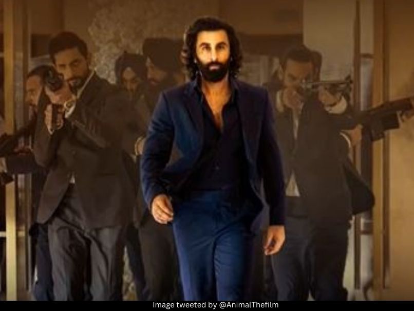 Ranbir Kapoor Animal 