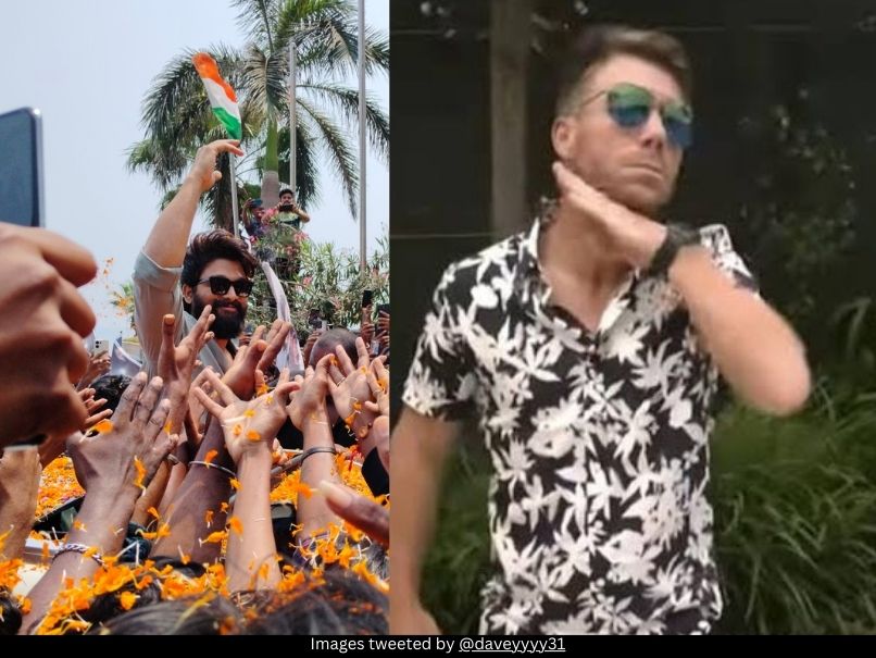 Allu Arjun and David Warner 