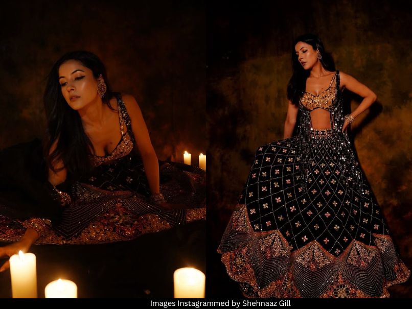 Shehnaaz Gill
