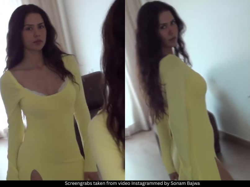 Sonam Bajwa