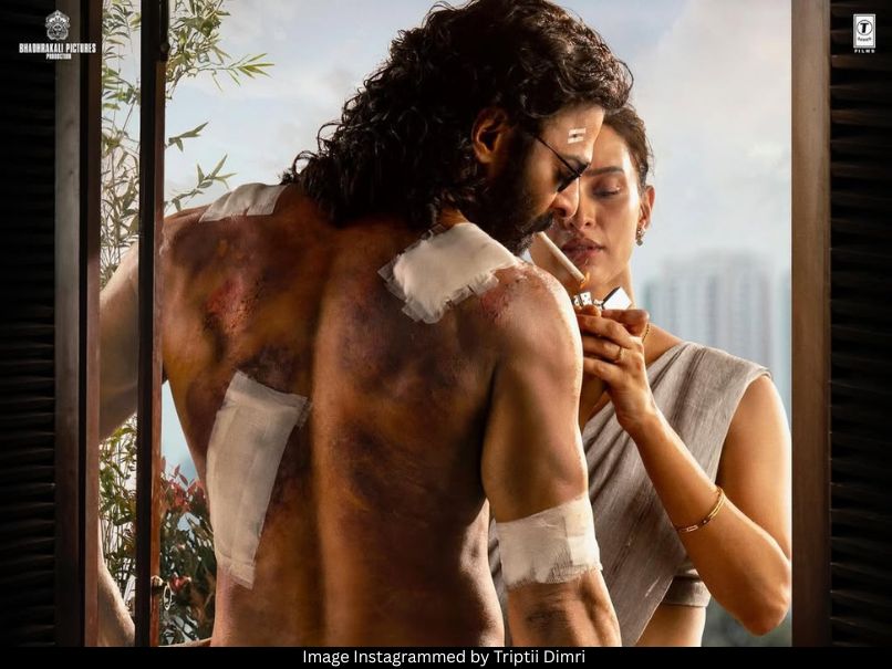Triptii Dimri Prabhas 