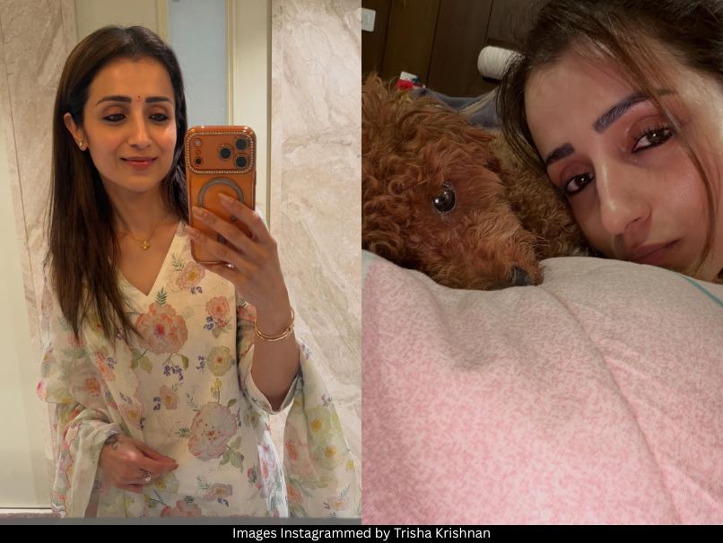 Trisha Krishnan
