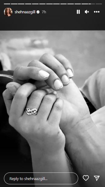 Shehnaaz Gill's Instagram Story