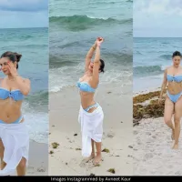 Avneet Kaur