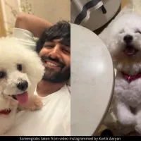 Kartik Aaryan 