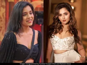 Sumbul and Rashami pic