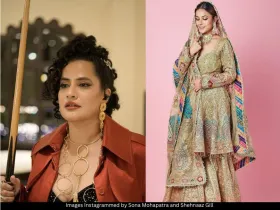 Sona Shehnaaz 