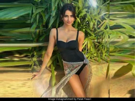 Palak Tiwari 