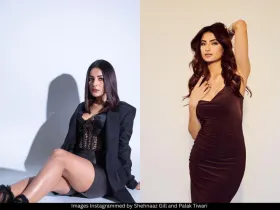 Shehnaaz Gill and Palak Tiwari 