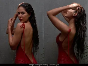 Sonam Bajwa 