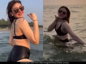 Shefali Kaanta 