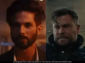 Shahid Kapoor and Chris Hemsworth 
