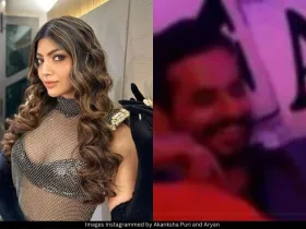 Akanksha Puri and Abhishek Malhan 