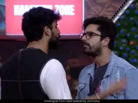 Abhishek Malhan and Avinash Sachdev 