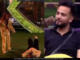 Abhishek Malhan and Elvish Yadav 