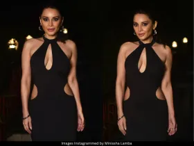 Minissha Lamba 