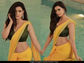 Shweta Tiwari 