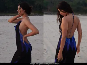 Sonam Bajwa 