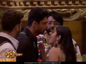 Isha and Abhishek fight in Bigg Boss 