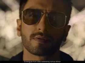 Ranveer Singh Don 3 