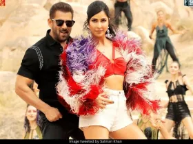 Salman Khan and Katrina Kaif 