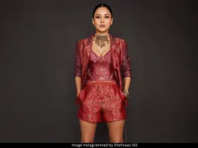 Shehnaaz Gill 