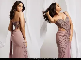 Sharvari Wagh 