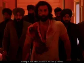 Animal Ranbir Kapoor 