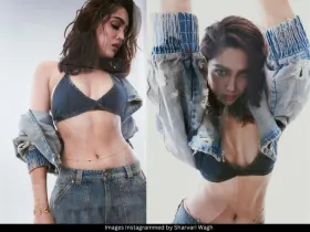 Sharvari Wagh