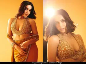 Sharvari Wagh 
