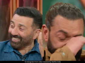Sunny Deol and Bobby Deol 