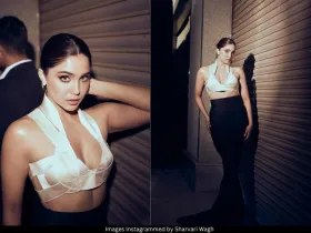 Sharvari Wagh