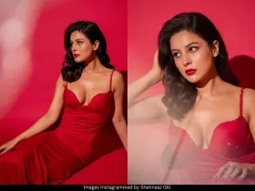 Shehnaaz Gill 