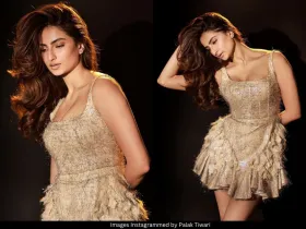 Palak Tiwari 