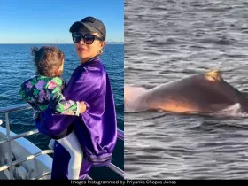 Priyanka Chopra Jonas 