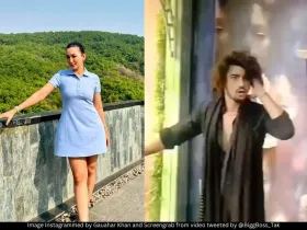 Gauahar Khan Vishal Pandey