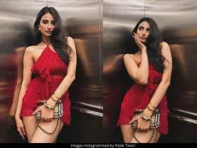 Palak Tiwari