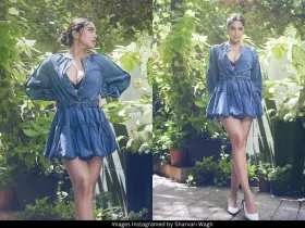 Sharvari Wagh