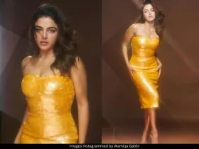 Wamiqa Gabbi