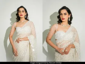 Manushi Chhillar