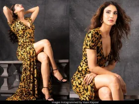 Vaani Kapoor